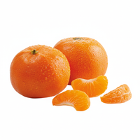 Fresh Mandarins โ 3 lb Bag