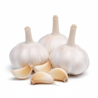 Garlic, Package (3 ct)