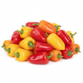 Fresh Mini Sweet Peppers Package 1 lb colorful mix