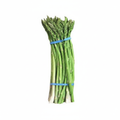 Fresh Asparagus bundle about 1.0 lb