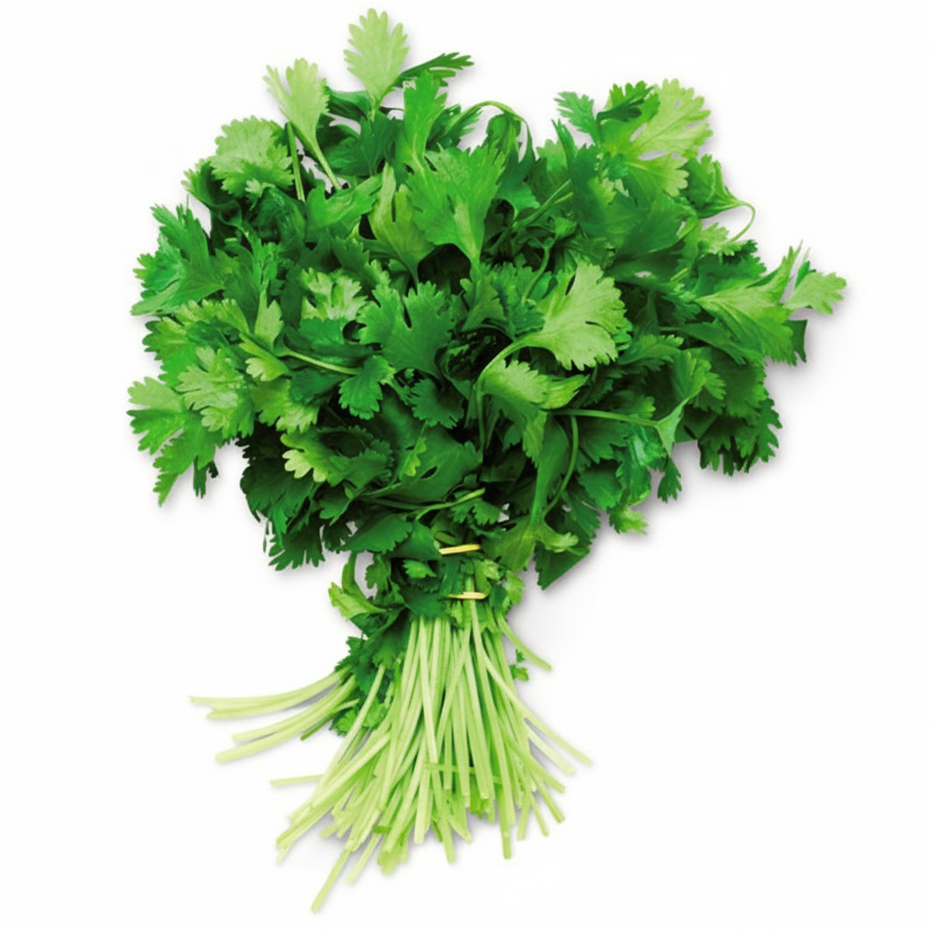 Fresh Cilantro Package 1 bunch