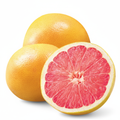 Fresh Grapefruit 5 lb Bag